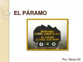 el p ramo