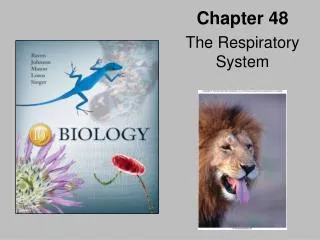 Chapter 48 The Respiratory System