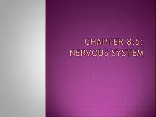 Chapter 8.5: Nervous System
