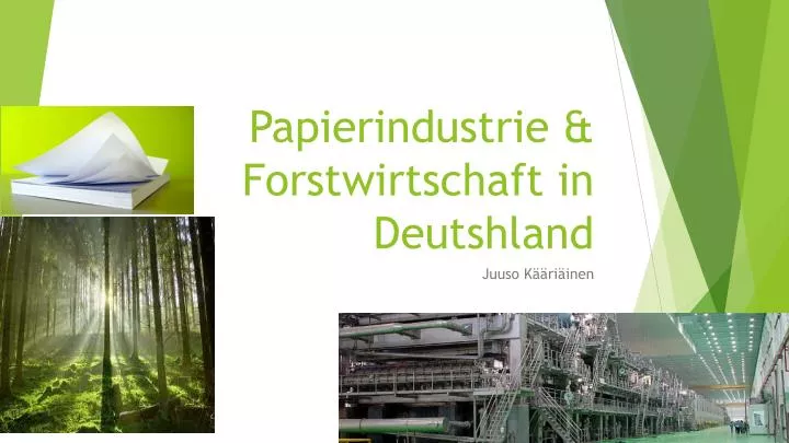 papierindustrie forstwirtschaft in deutshland