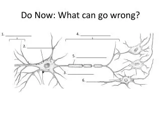 Do Now: What can go wrong?