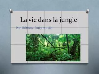 la vie dans la jungle
