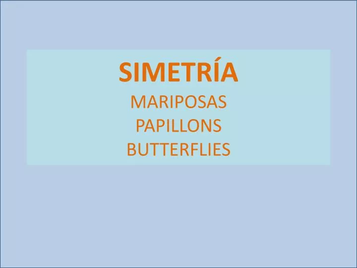 simetr a mariposas papillons butterflies