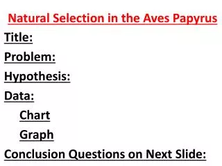 Natural Selection in the Aves Papyrus