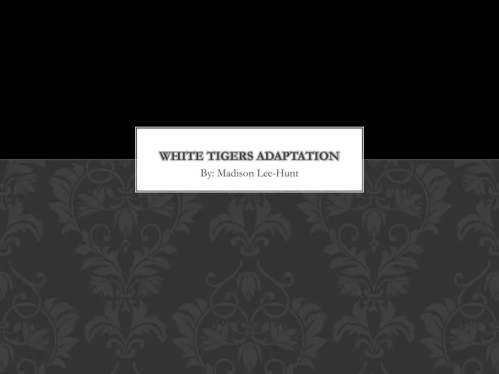 white tigers adaptation