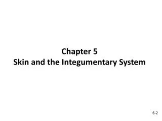 Chapter 5 Skin and the Integumentary System