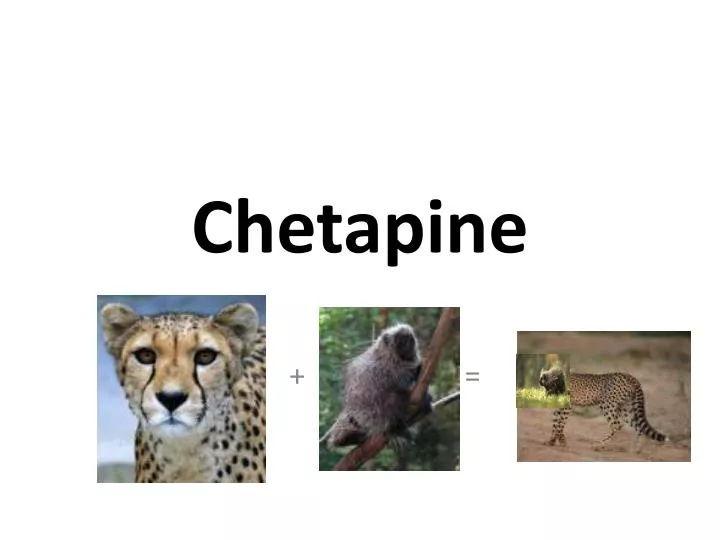 chetapine