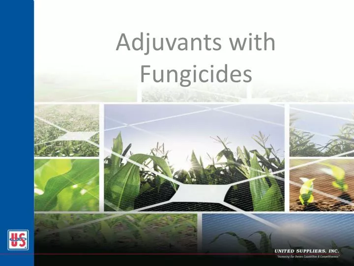 adjuvants with fungicides