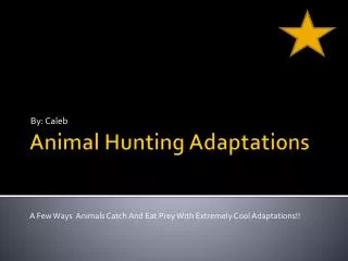 Animal Hunting Adaptations