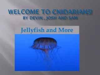WELCOME TO Cnidarians! By Devin , Josh and Sam