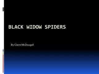 Black Widow Spiders