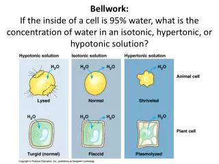 3. Endocytosis : taking material into the cell using part of the cell membrane.