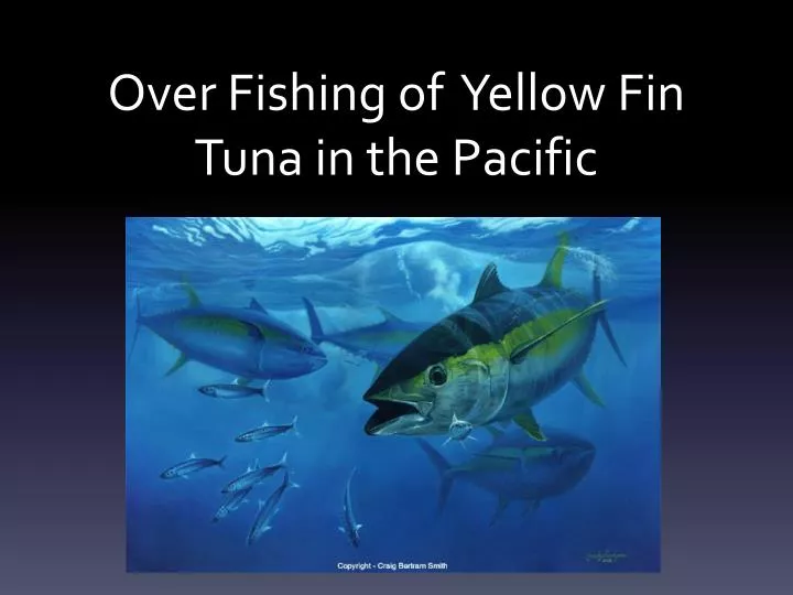 over fishing of yellow fin tuna in the pacific