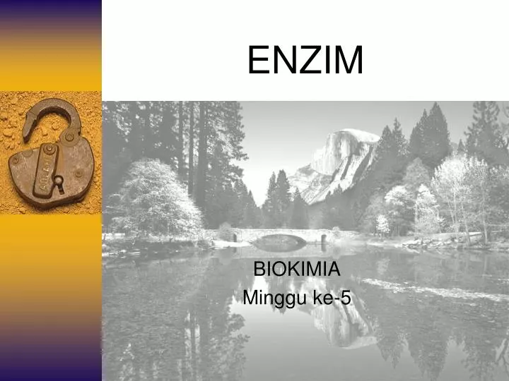 enzim