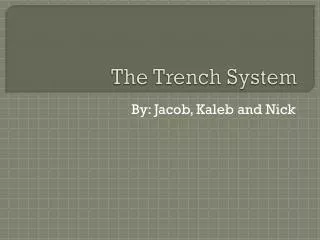 The Trench System