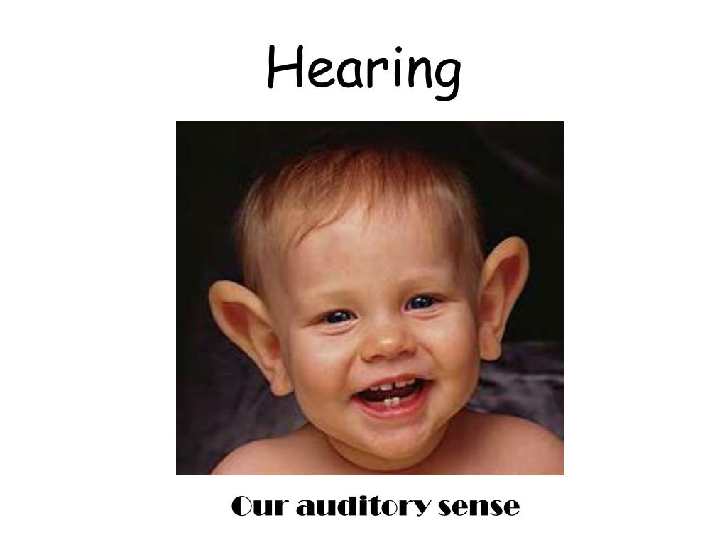 PPT - Hearing PowerPoint Presentation, free download - ID:1946637