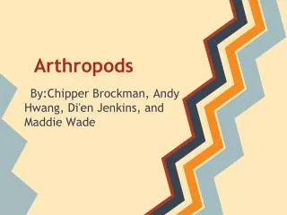 Arthropods