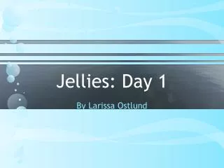 Jellies: Day 1