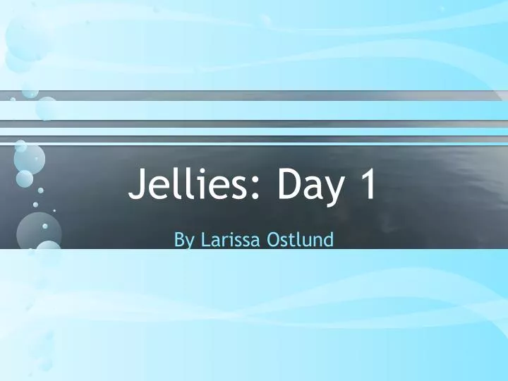 jellies day 1