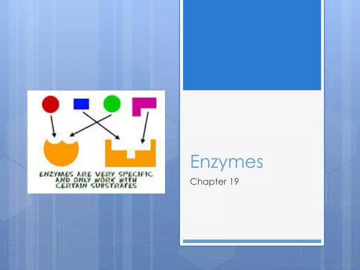 enzymes