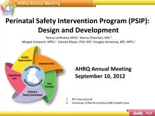 Perinatal Safety Intervention Program (PSIP): Design and Development
