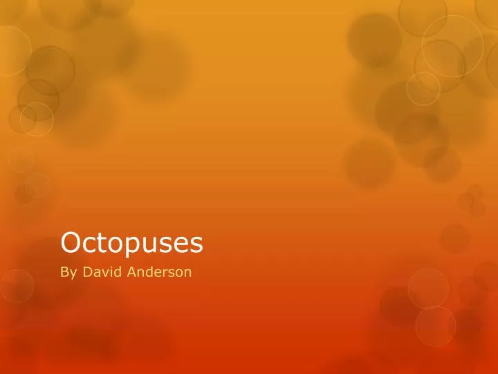 octopuses