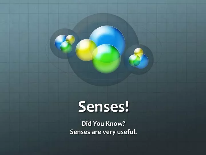 senses