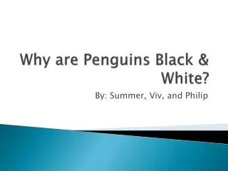 Why are Penguins Black &amp; White?