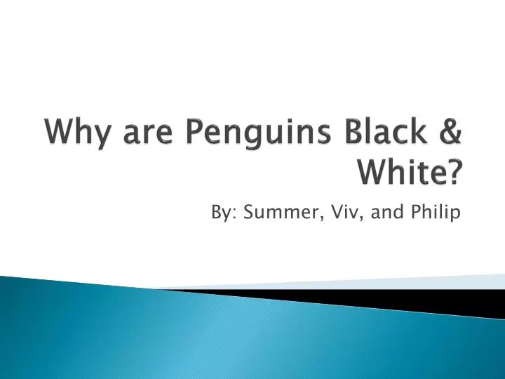 why are penguins black white