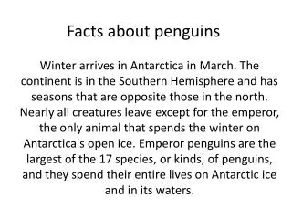 facts about penguins