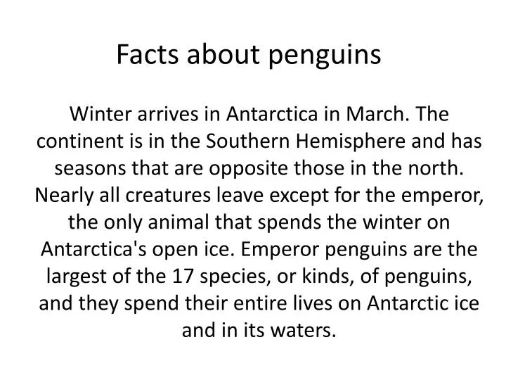 facts about penguins