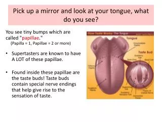 Pick up a mirror and look at your tongue, what do you see?