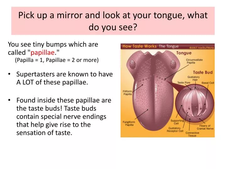 pick up a mirror and look at your tongue what do you see