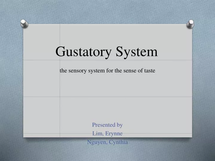 gustatory system