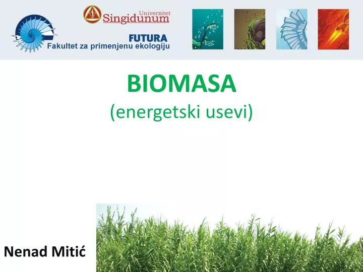 biomasa energetski usevi