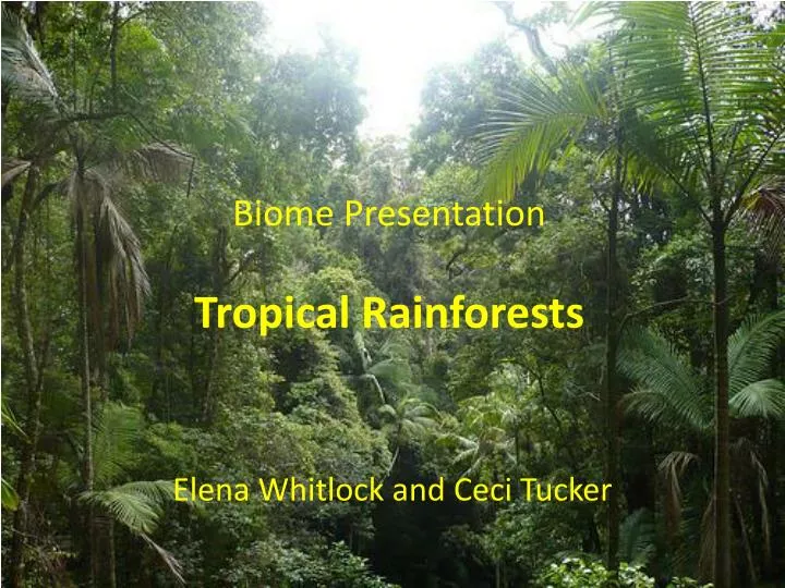 biome presentation tropical rainforests