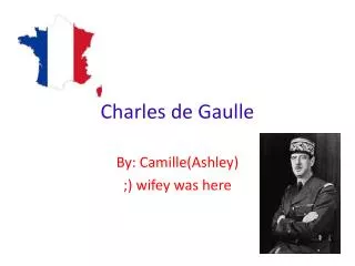 PPT - Best Transfer from Charles de Gaulle to Disneyland Paris ...
