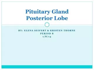 Pituitary G land Posterior Lobe