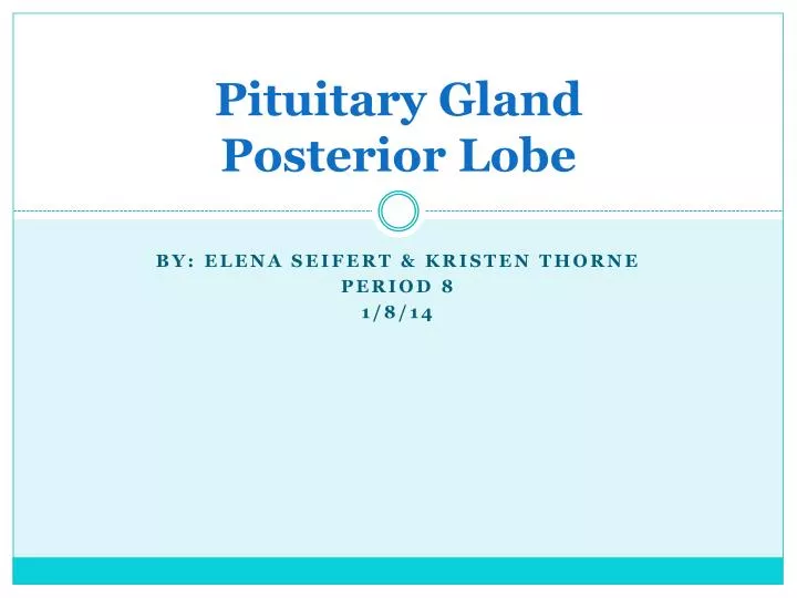 pituitary g land posterior lobe