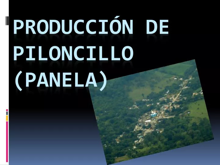 producci n de piloncillo panela