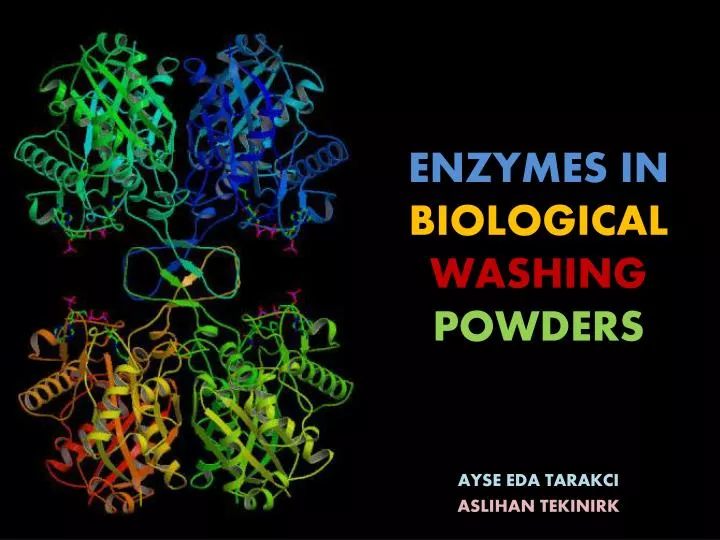 enzymes in biological washing powders