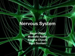 Nervous System