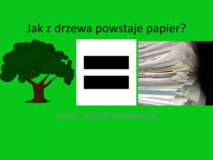 jak z drzewa powstaje papier