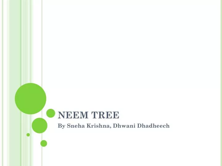 neem tree ppt presentation download