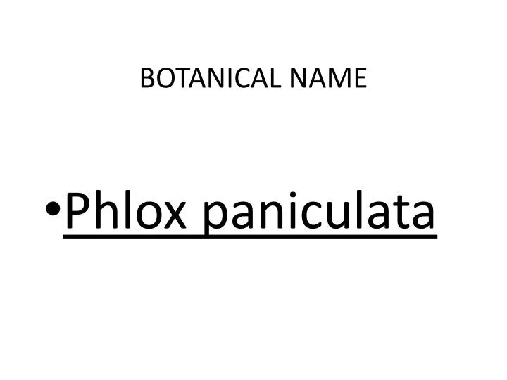 botanical name