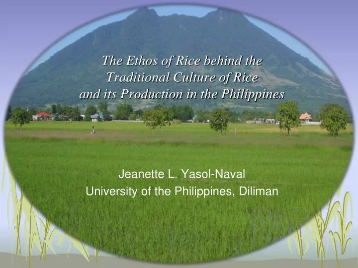 the ethos of rice behind the traditional culture of rice and its production in the philippines