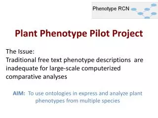 Plant Phenotype Pilot Project
