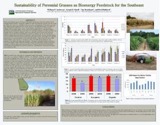 Sustainability of Perennial Grasses as Bioenergy Feedstock for the Southeast