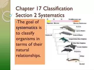 Chapter 17 Classification Section 2 Systematics
