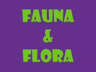 fauna flora